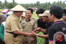 Gubernur Minta Kepala Daerah Komitmen kembangkan Pertanian