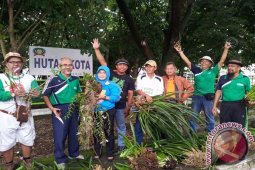 Anggrek Meratus Ditanam Di Kota Banjarmasin