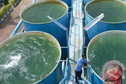 Lipsus - Mengatasi ancaman krisis air di Babel