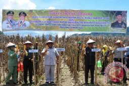 Taluditi-randangan Jadi Kawasan Pertanian Terpadu
