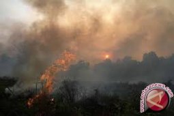 Jambi komitmen antisipasi kebakaran lahan gambut