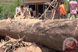 Banjir Bandang di Nagan Raya Tidak Ada Korban Jiwa