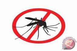 Dinkes: Pangkalpinang Bebas Malaria