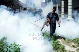 Dinkes: Kota Sukabumi Daerah Endemik DBD