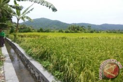 Bali Miliki 701 "Simantri" Sesuai Tiga Kunci Utama