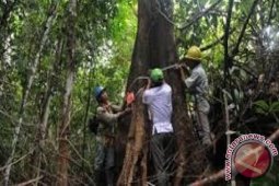 Bupati : Pembangunan infrastruktur Muarojambi terhambat hutan konservasi