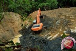 Mampukah Satgas berantas "PETI" di Jambi