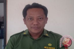 Kotabaru Temui Wapres Terkait Pulau Larilarian