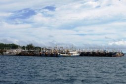 Legislator Golkar Tolak Moratorium di Tual