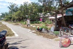DAUN EKONOMIS TINGGI