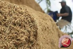 Masalah kemandirian pangan di Indonesia