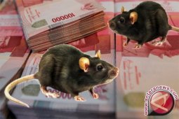 GeMAS: usut korupsi di Aceh Selatan