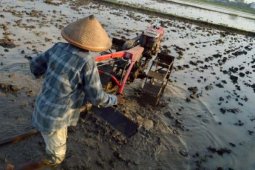 Menggarap Lahan Pertanian