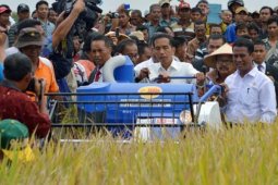 Presiden Panen Padi