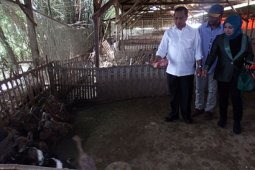 Mendes Minta Pemerintah Desa Segera Bentuk BUMDes