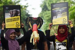Aksi Selamatkan Gajah