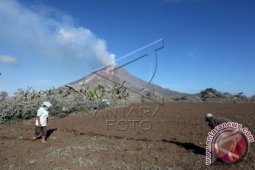 Gunung Sinabung Masih Bergejolak