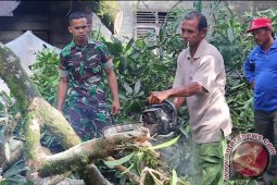 Puting Beliung Rusak Rumah di Nagan Raya