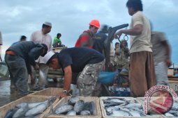 LAPSUS : Hasil Perikanan Meningkat