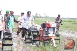 LAPSUS : Tanah Bumbu Perkuat Sektor Ketahanan Pangan