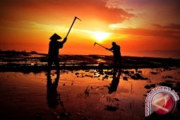 Nilai Tukar Petani Jambi terendah di sumatera