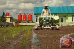 Bupati Panen Padi Petani Menggunakan Teknologi Canggih