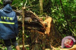 Dinas Kehutanan Batanghari sosialisasi IPK dilahan APL