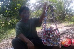 Pemerintah Dorong Produsen Gunakan Plastik Mudah Terurai