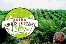 Pemkab Aceh Barat-PAAL Bantu Kebun Plasma