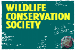 WCS perkuat kapasitas pokmaswas pengelola konservasi perairan