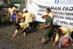 BI Bali Tanam Padi Terapkan Teknologi "SRI"