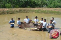Pengembangan Budi Daya Perikanan