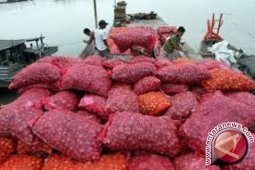 Polisi Bengkalis amankan 45 ton bawang seludupan