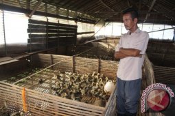 HSU Percepat Pertumbuhan Ekonomi Melalui Unggulan Desa