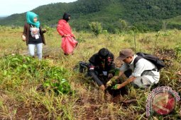 TANAM POHON PERINGATI HARI BUMI