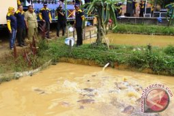 Perbatasan Kaltim Dijadikan Pengembangan Rumah Pangan Lestari