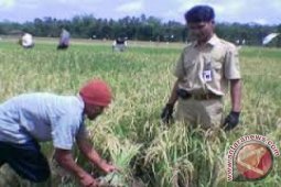 Sekda Batanghari minta kinerja penyuluh lebih tingkatkan