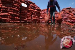 Polsek Siak gagalkan penyeludupan 2.264 karung bawang