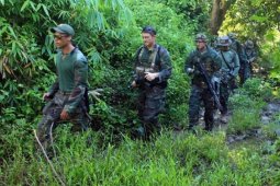Marinir AS Jelajahi Hutan