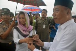 Target Swasembada Gula