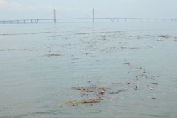 Pencemaran Laut