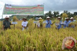 Bupati Larang Alih Fungsi Areal Persawahan