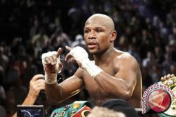 Mayweather Akan Kembali Naik Ring