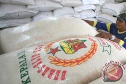 Harga beras di Jambi turun