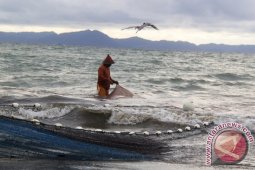 30 Persen Nelayan Aceh Gunakan Pukat Trawl