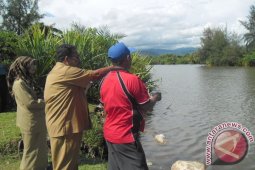 LHKP Abdya Programkan Penanaman Belasan Ribu Pohon