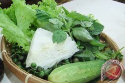 Cuci Lalapan Agar Tak Kena Penyakit Batu Empedu