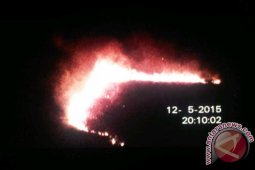 Hutan Desa Terbakar di Pulau Maya