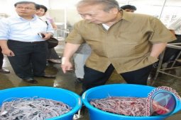 Mantan menteri keuangan Jusuf Anwar meninggal