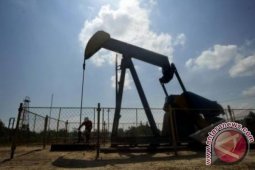 Harga Minyak Dunia Jatuh